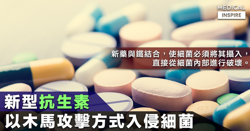 藥物新知 新型抗生素利用細菌攝鐵的特性 以木馬攻擊方式入侵細菌內部 Medical Inspire 醫 思維