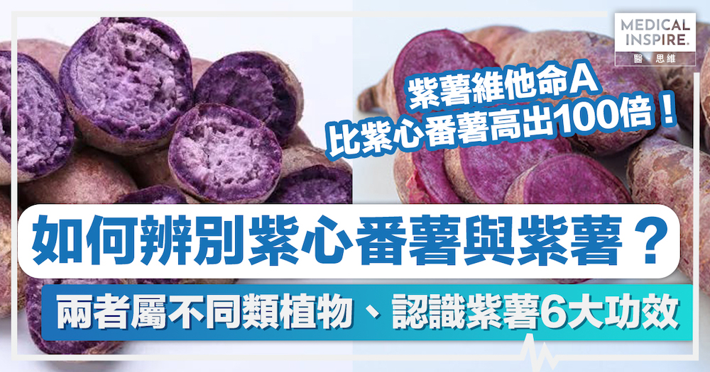 食物營養｜如何辨別紫心番薯與紫薯？認識紫薯6大功效