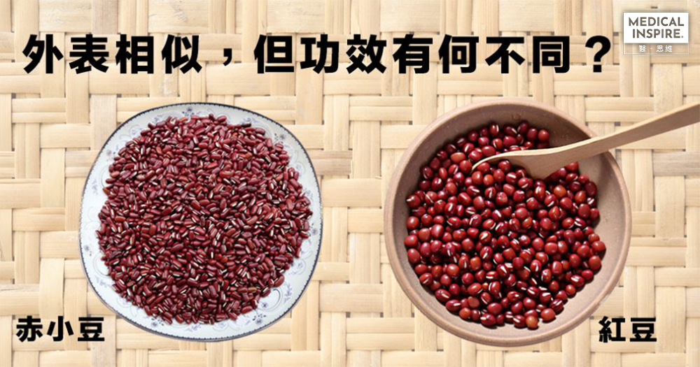【食材筆記】如何分辨赤小豆與紅豆？哪種去水腫更有效？
