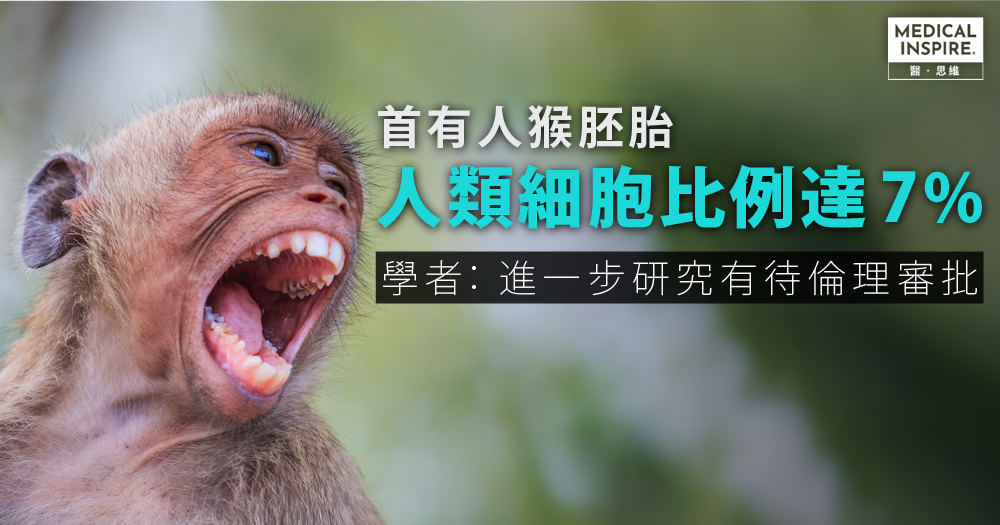 【醫學突破】中美科學家成功製造首個「人猴胚胎」 或有望用於器官移植 – Medical Inspire 醫・思維