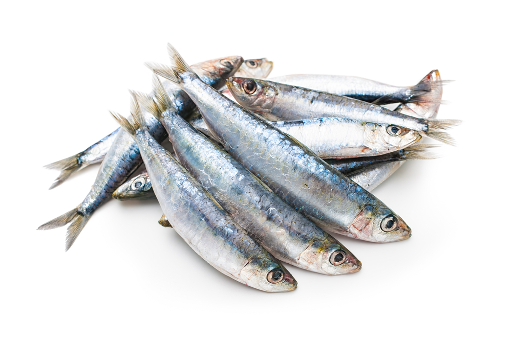 Omega-3好處丨奧米加3有助「益氣強肺」、有助改善哮喘、慢阻肺病!11種富含 Omega-3 食物推薦! – Medical ...
