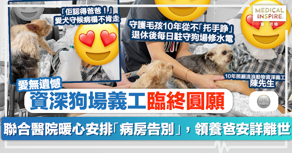 愛無遺憾|資深狗場義工臨終圓願!聯合醫院暖心安排「病房告別」,毛孩不捨守護病榻、領養爸安詳離世:沒遺憾了 愛無遺憾|資深狗場義工臨終圓願!聯合醫院暖心安排「病房告別」,毛孩不捨守護病榻、領養爸安詳離世:沒遺憾了